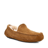 UGG Men's Ascot Chestnut