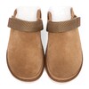 UGG Goldenstar Clog Chestnut UGG Goldenstar Clog Chestnut